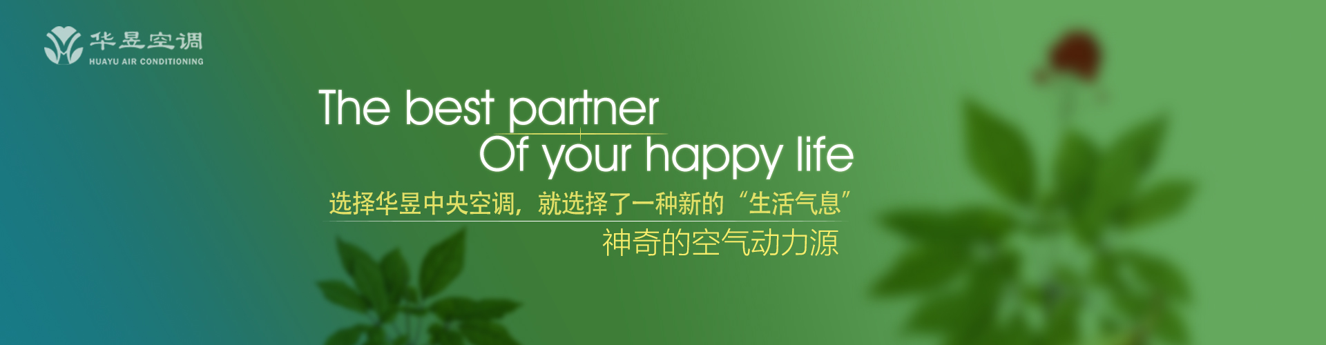 敲金击玉网